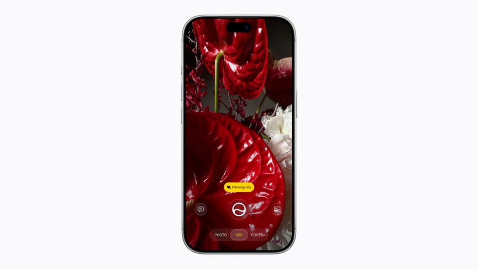 아이폰 카메라 앱에서 Siri 모드를 보여주는 Apple의 공식 기능 소개 이미지