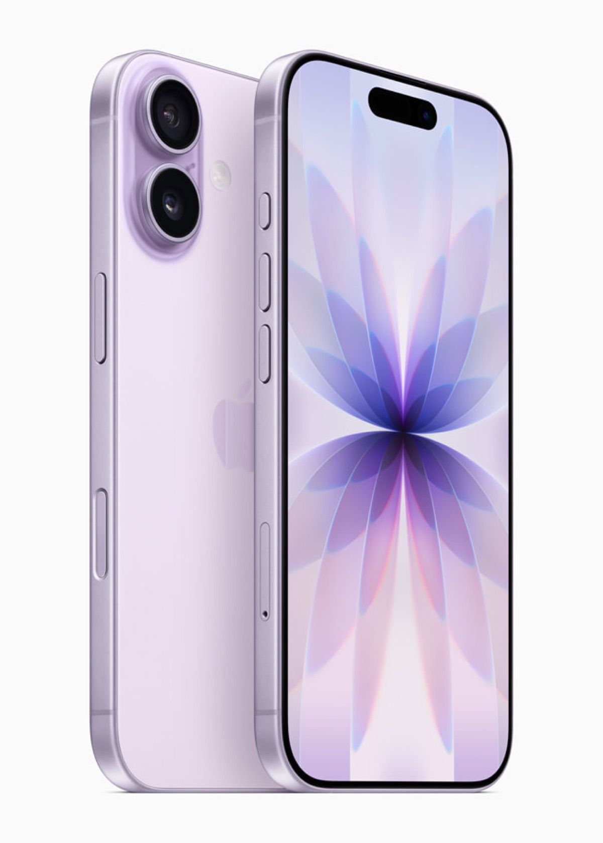 앞면과 뒷면이 함께 보이는 iPhone 17 두 대